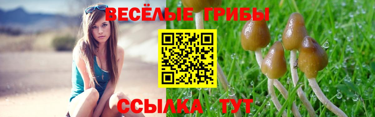 Галлюциногенные грибы прущие грибы  Псилоцибиновые грибы мицелий  Вход с VPN  Богородск 